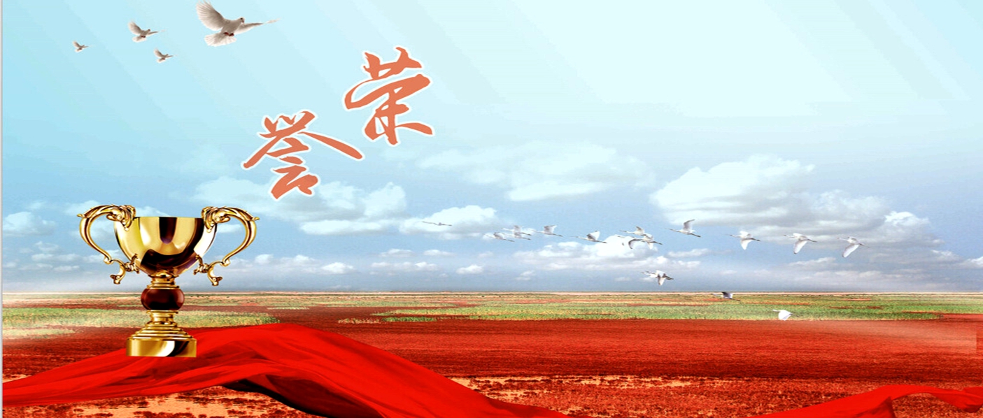 【重磅】湖北中陽(yáng)建設(shè)集團(tuán)榮獲“武漢市優(yōu)秀企業(yè)”